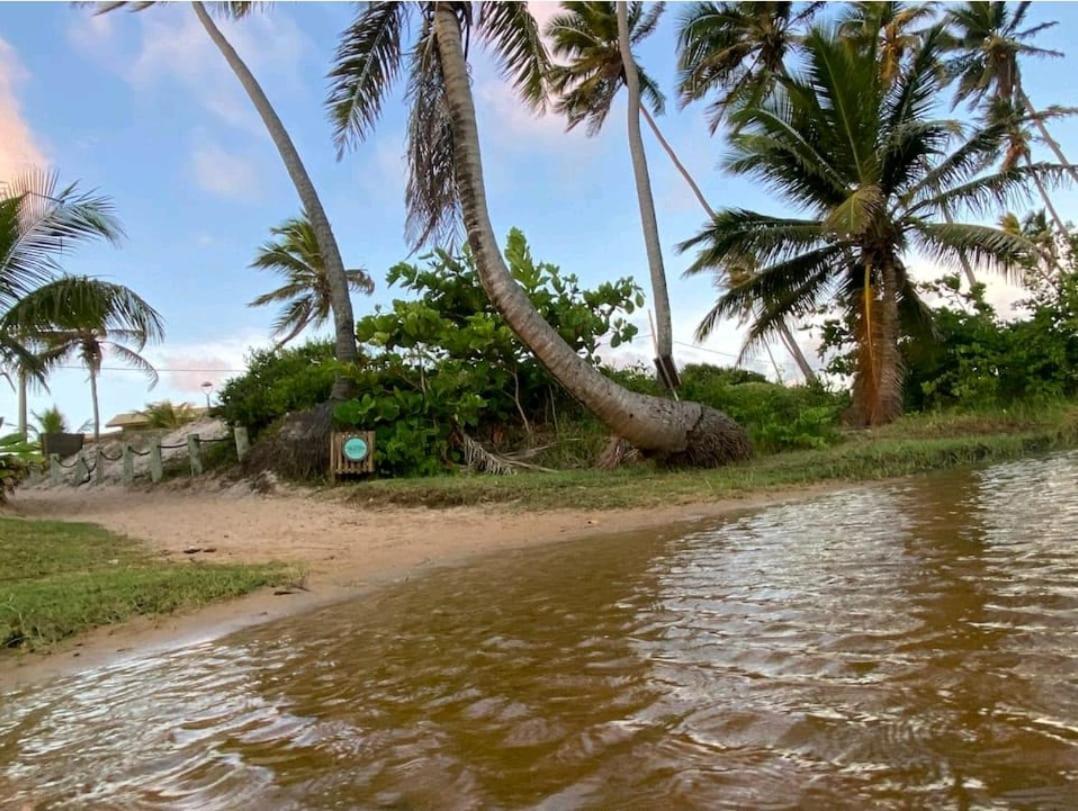 Maravilhoso Garden Imbassai Pe Na Areia Bahia Litoral Apartment Exterior photo